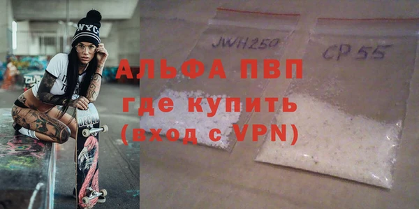 гидра Елабуга