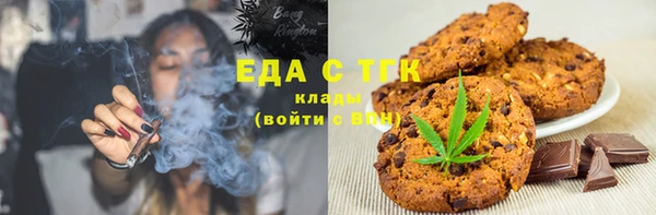 гидра Елабуга