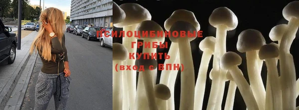 гидра Елабуга
