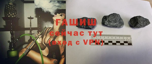 гидра Елабуга