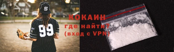 шишки Елизово