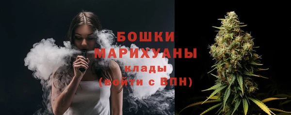 гидра Елабуга