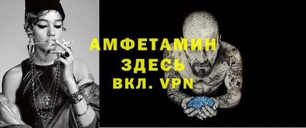 шишки Елизово
