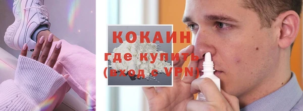 шишки Елизово