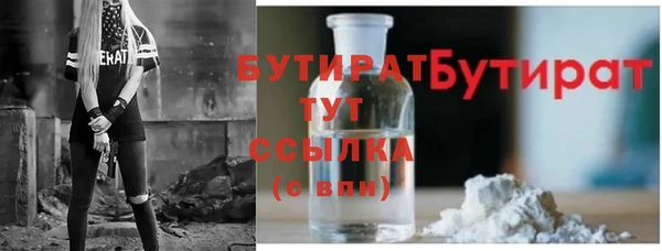 гидра Елабуга