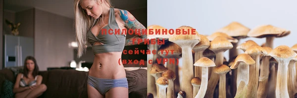 кристаллы Ельня