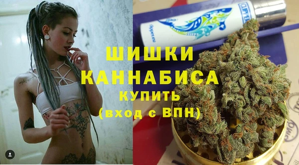 гидра Елабуга