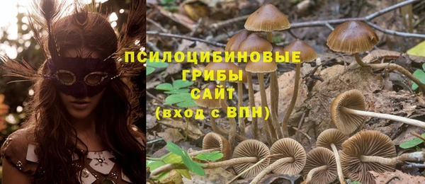 кристаллы Ельня