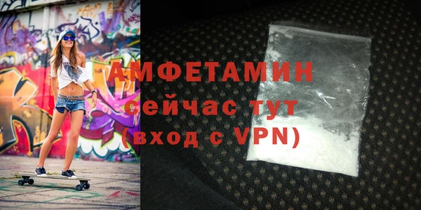 гидра Елабуга