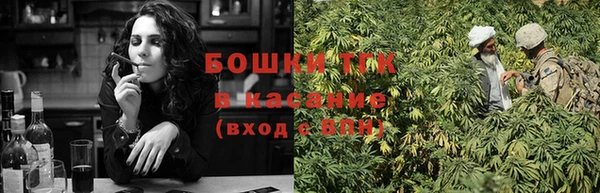 шишки Елизово