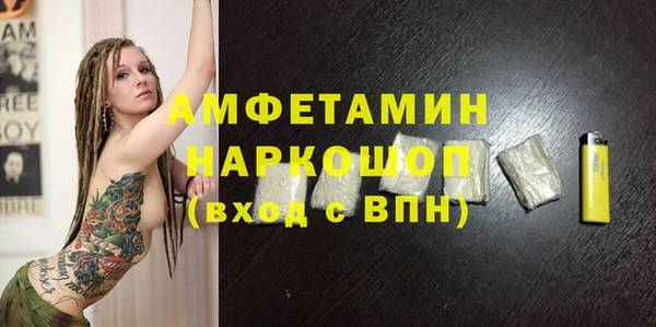 гидра Елабуга