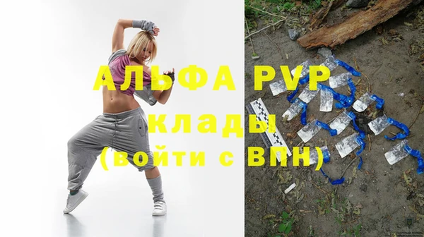 гидра Елабуга