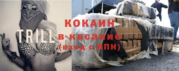 шишки Елизово