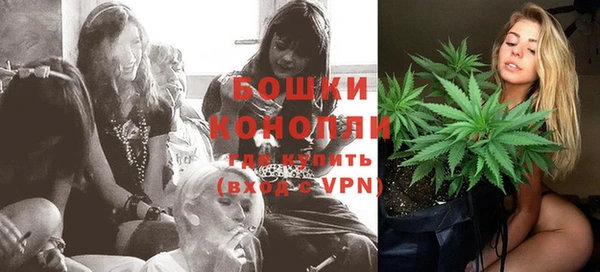 гидра Елабуга