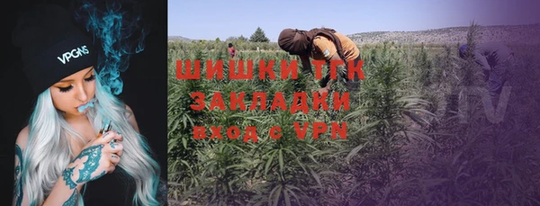 шишки Елизово