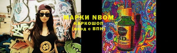 гидра Елабуга